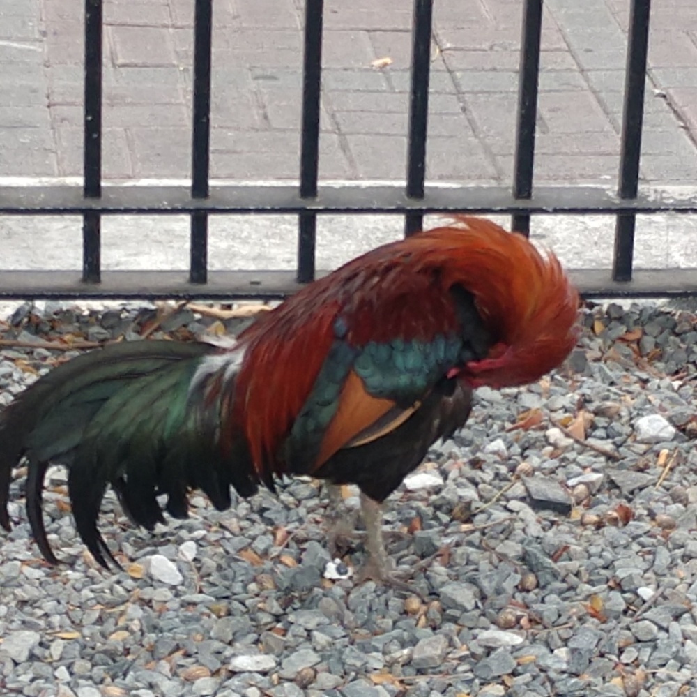 Meet your Posher, Michael